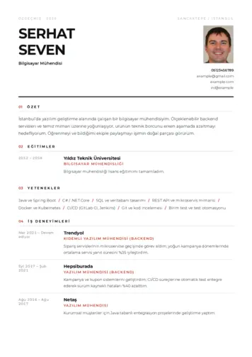 Bilgisayar Mühendisi CV Örnekleri cv indir